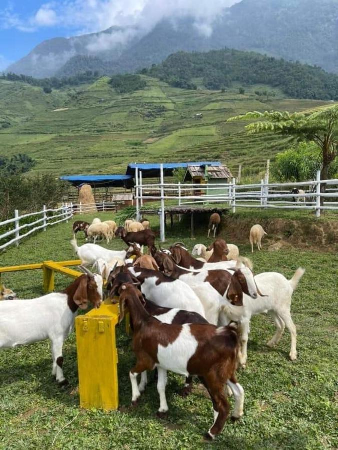 O Chau Homestay Lao Cai Exterior photo
